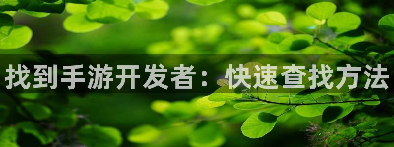 恒盛娱乐下载：找到手游开发者：快速查找方法