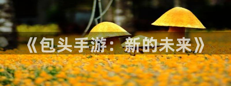 恒盛娱乐app：《包头手游：新的未来》