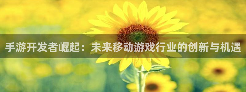 恒盛娱乐app：手游开发者崛起：未来移动游戏行业的创新与机遇