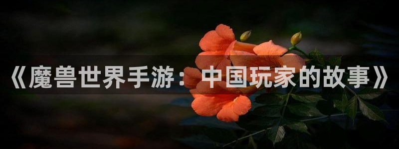 恒盛娱乐登录：《魔兽世界手游：中国玩家的故事》
