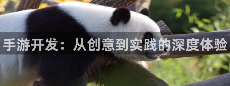 恒盛娱乐登陆：手游开发：从创意到实践的深度体验