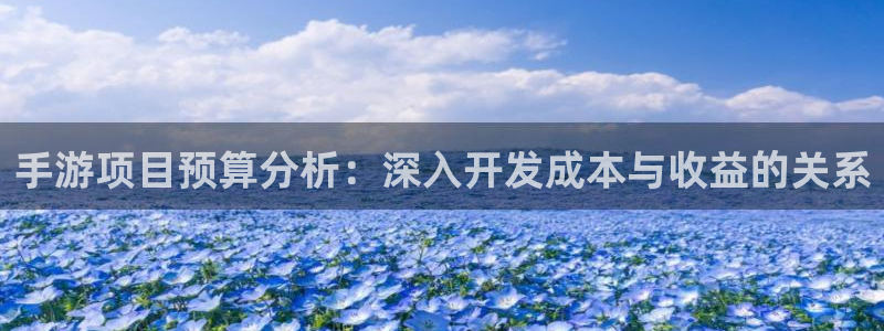 恒盛娱乐：手游项目预算分析：深入开发成本与收益的关系