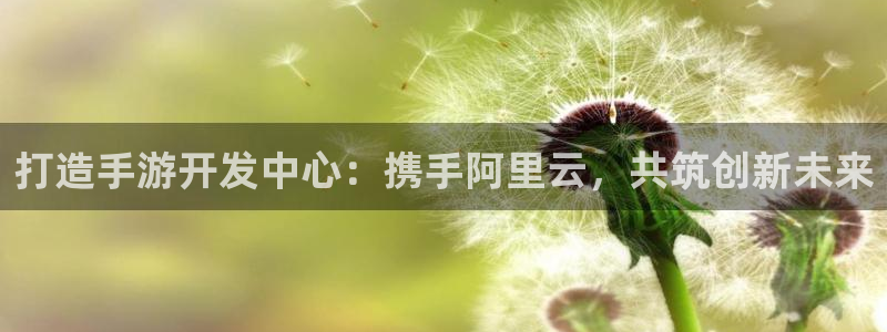 恒盛娱乐登陆：打造手游开发中心：携手阿里云，共筑创新未来