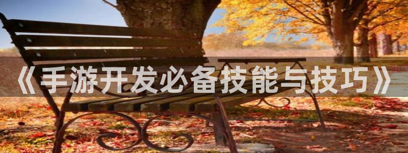 恒盛娱乐app：《手游开发必备技能与技巧》