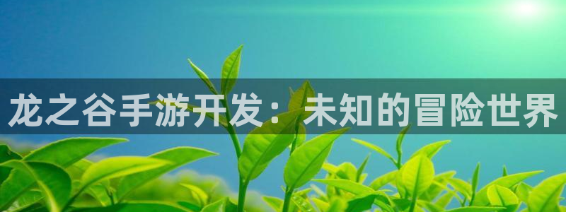 恒盛娱乐：龙之谷手游开发：未知的冒险世界