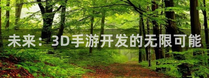恒盛娱乐app：未来：3D手游开发的无限可能