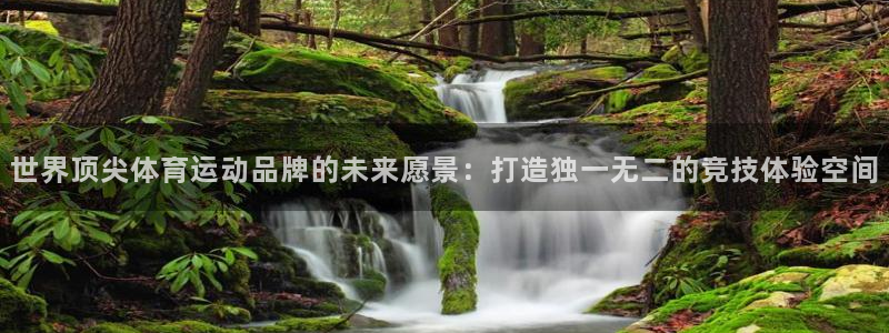 bbin视讯下：世界顶尖体育运动品牌的未来愿景：打造独一无二的竞技体验空间