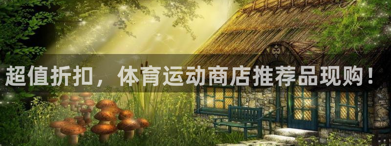 bbin视讯游戏平台：超值折扣，体育运动商店推荐品现购！