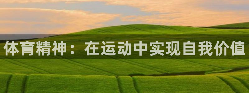 bbin视讯下：体育精神：在运动中实现自我价值