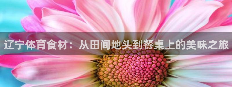 bbin视讯：辽宁体育食材：从田间地头到餐桌上的美味之旅