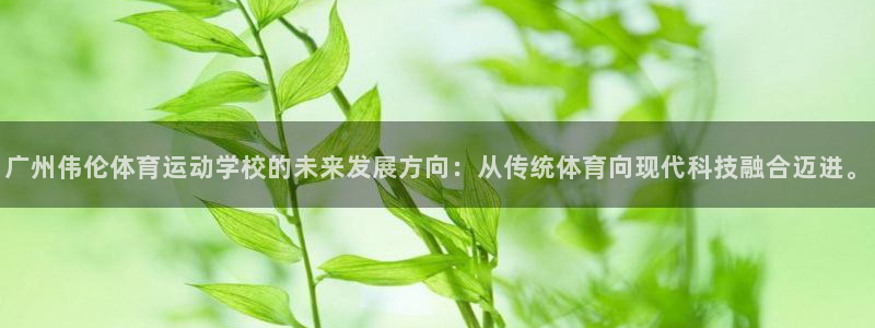 bbin视讯游戏官网：广州伟伦体育运动学校的未来发展方向：从传统体育向现代科技融合迈进。