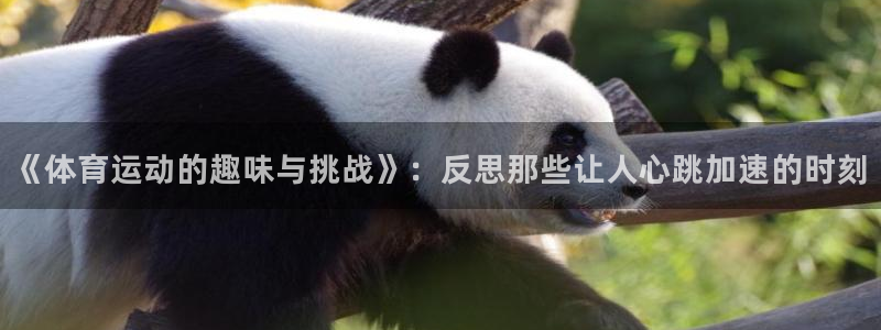 bbin视讯下：《体育运动的趣味与挑战》：反思那些让人心跳加速的时刻