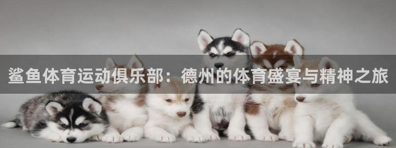 bbin视讯游戏官网：鲨鱼体育运动俱乐部：德州的体育盛宴与精神之旅