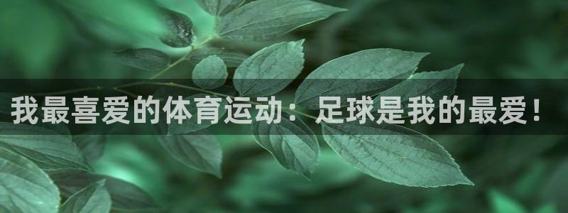 bbin视讯游戏官网：我最喜爱的体育运动：足球是我的最爱！