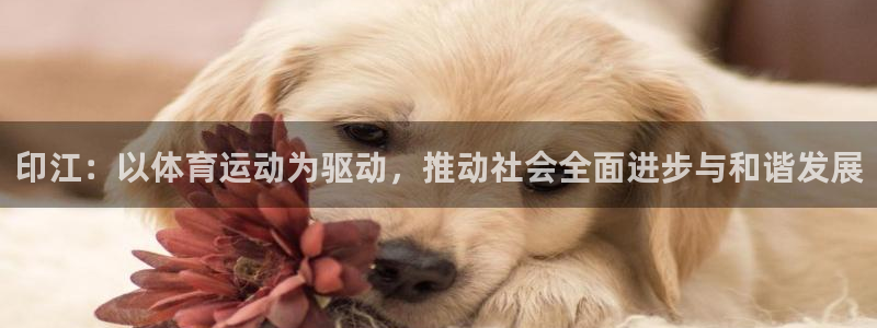 bbin视讯游戏官网：印江：以体育运动为驱动，推动社会全面进步与和谐发展