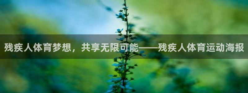 bbin视讯游戏官网：残疾人体育梦想，共享无限可能——残疾人体育运动海报