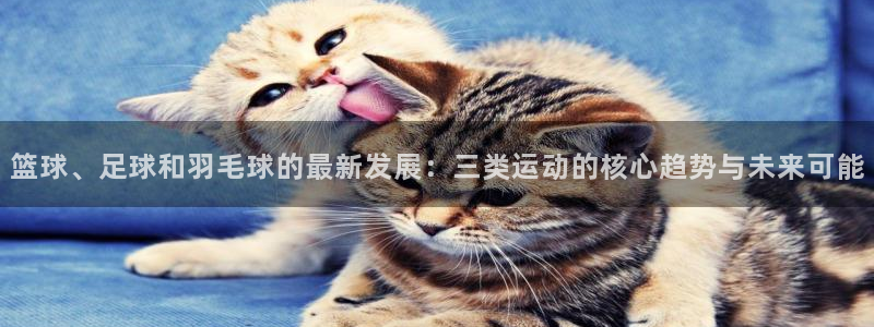 bbin视讯游戏官网：篮球、足球和羽毛球的最新发展：三类运动的核心趋势与未来可能