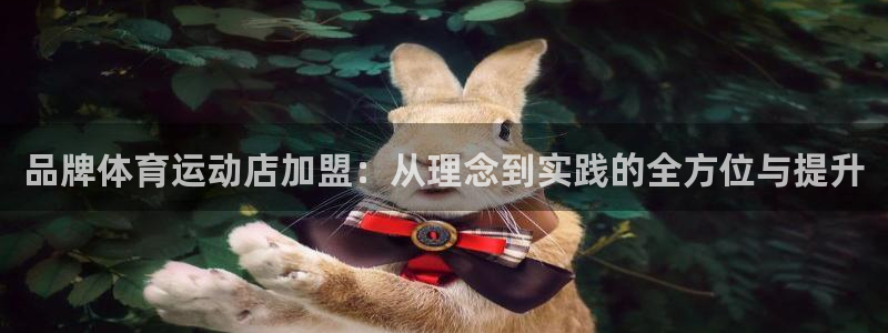 bbin视讯：品牌体育运动店加盟：从理念到实践的全方位与提升