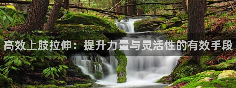 bbin视讯游戏平台：高效上肢拉伸：提升力量与灵活性的有效手段