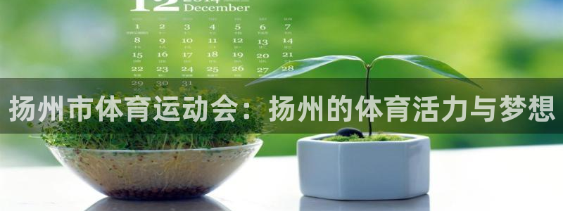 bbin视讯：扬州市体育运动会：扬州的体育活力与梦想
