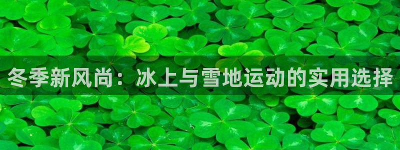 bbin视讯下：冬季新风尚：冰上与雪地运动的实用选择
