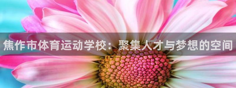 bbin视讯：焦作市体育运动学校：聚集人才与梦想的空间