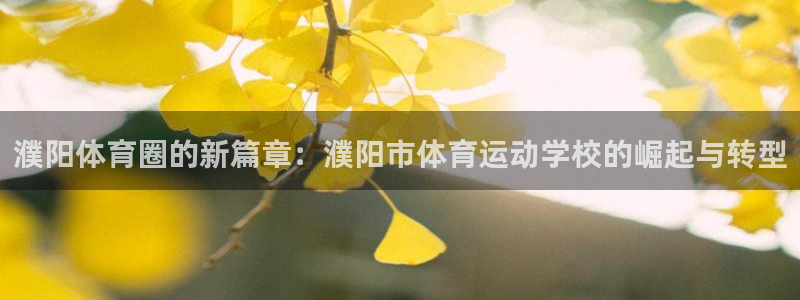 bbin视讯游戏官网：濮阳体育圈的新篇章：濮阳市体育运动学校的崛起与转型